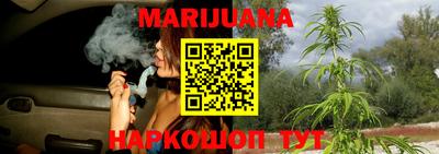 индика Краснознаменск