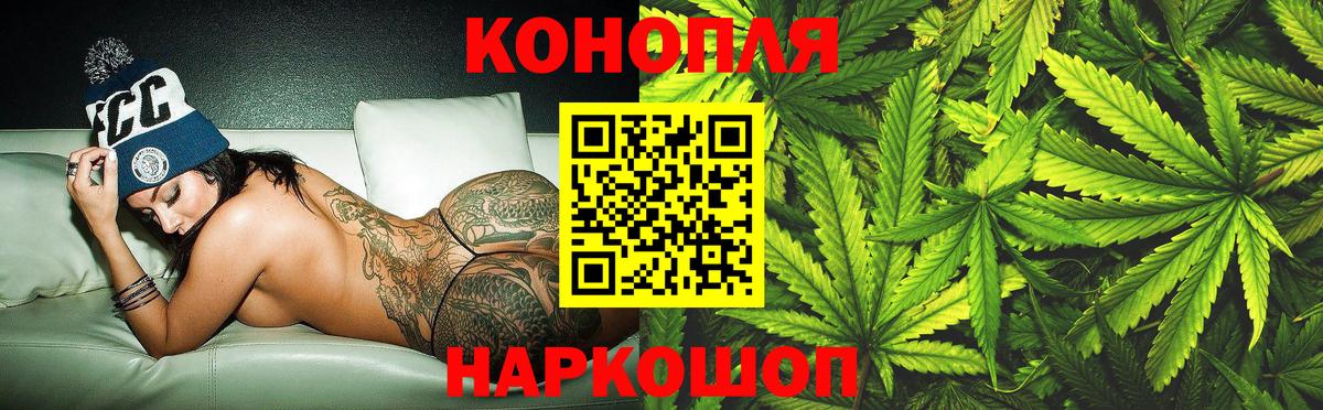 Каннабис конопля Канаш